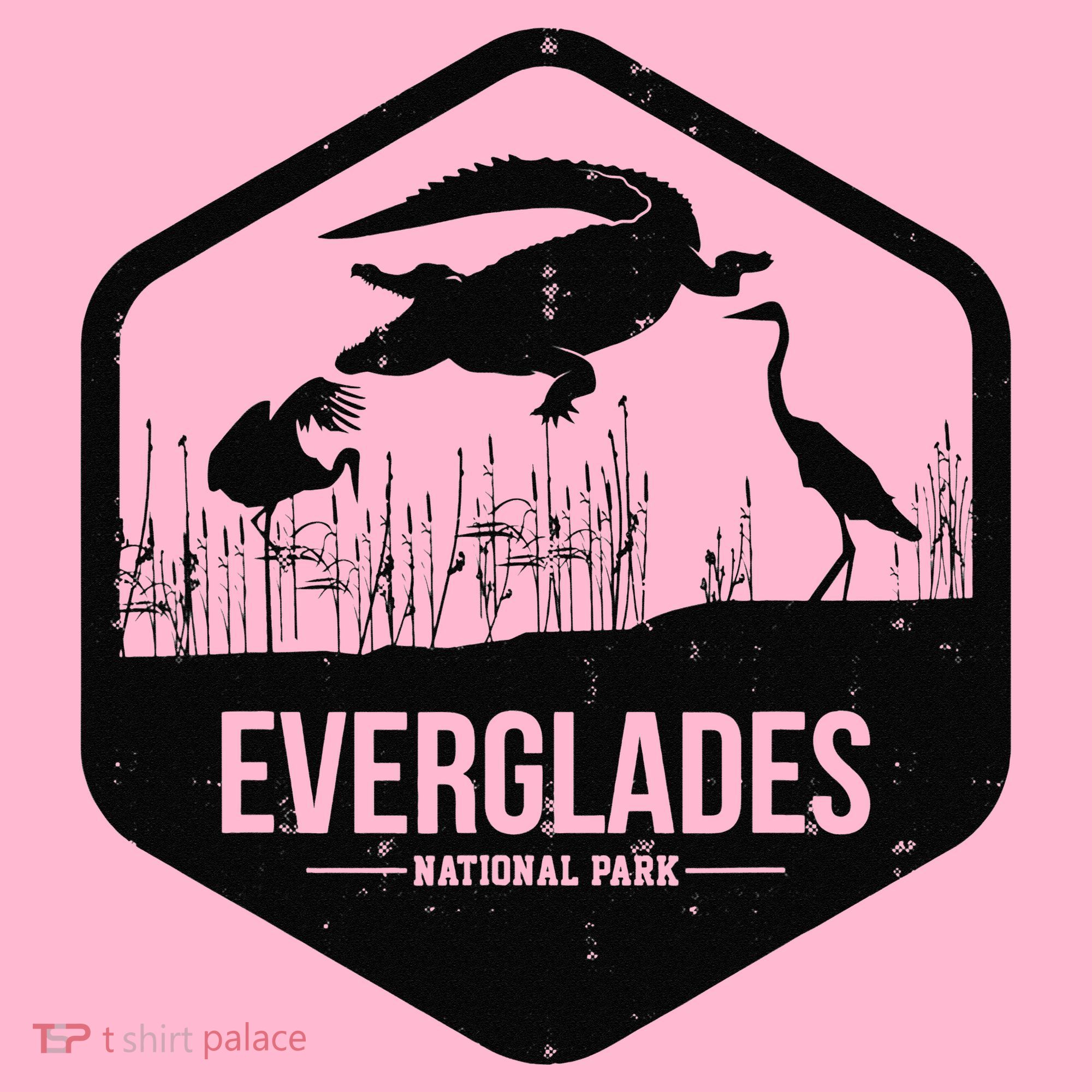 Florida National Park Everglades National Park Coaster