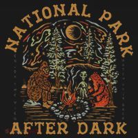 Funny National Park After Dark Adventure Mousepad thumb 1