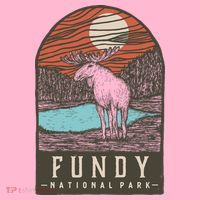 Fundy National Park Coaster thumb 2