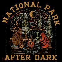 Funny National Park After Dark Ornament thumb 1