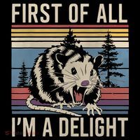 First Of All I’M A Delight Sarcastic Angry Opossum Possum Stripe Pom Pom Beanie thumb 2