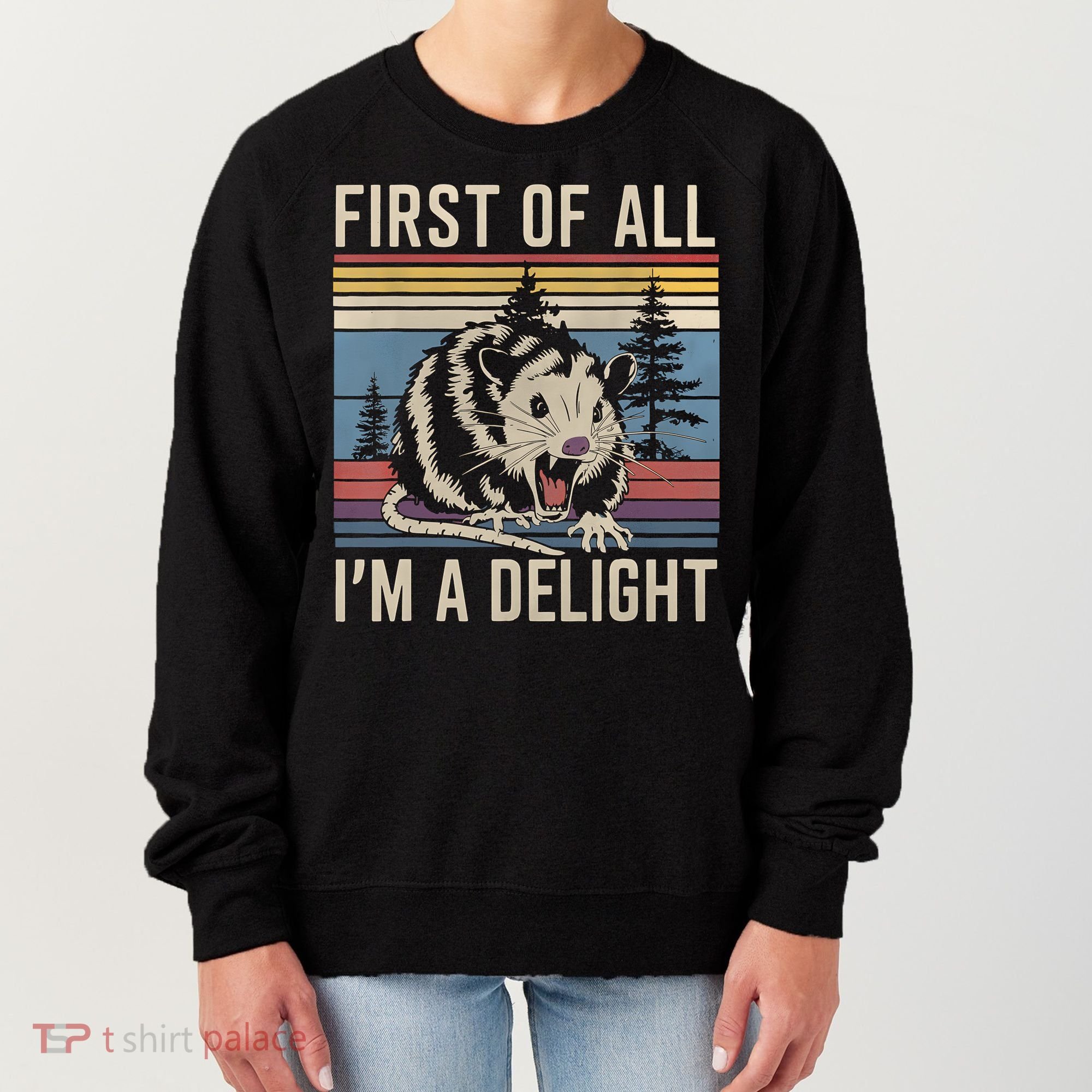 First Of All I’M A Delight Sarcastic Angry Opossum Possum Women's Sweatshirt