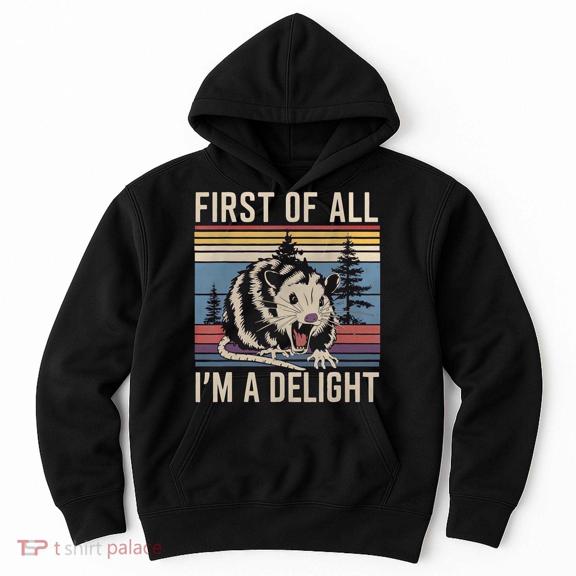 First Of All I’M A Delight Sarcastic Angry Opossum Possum Hoodie