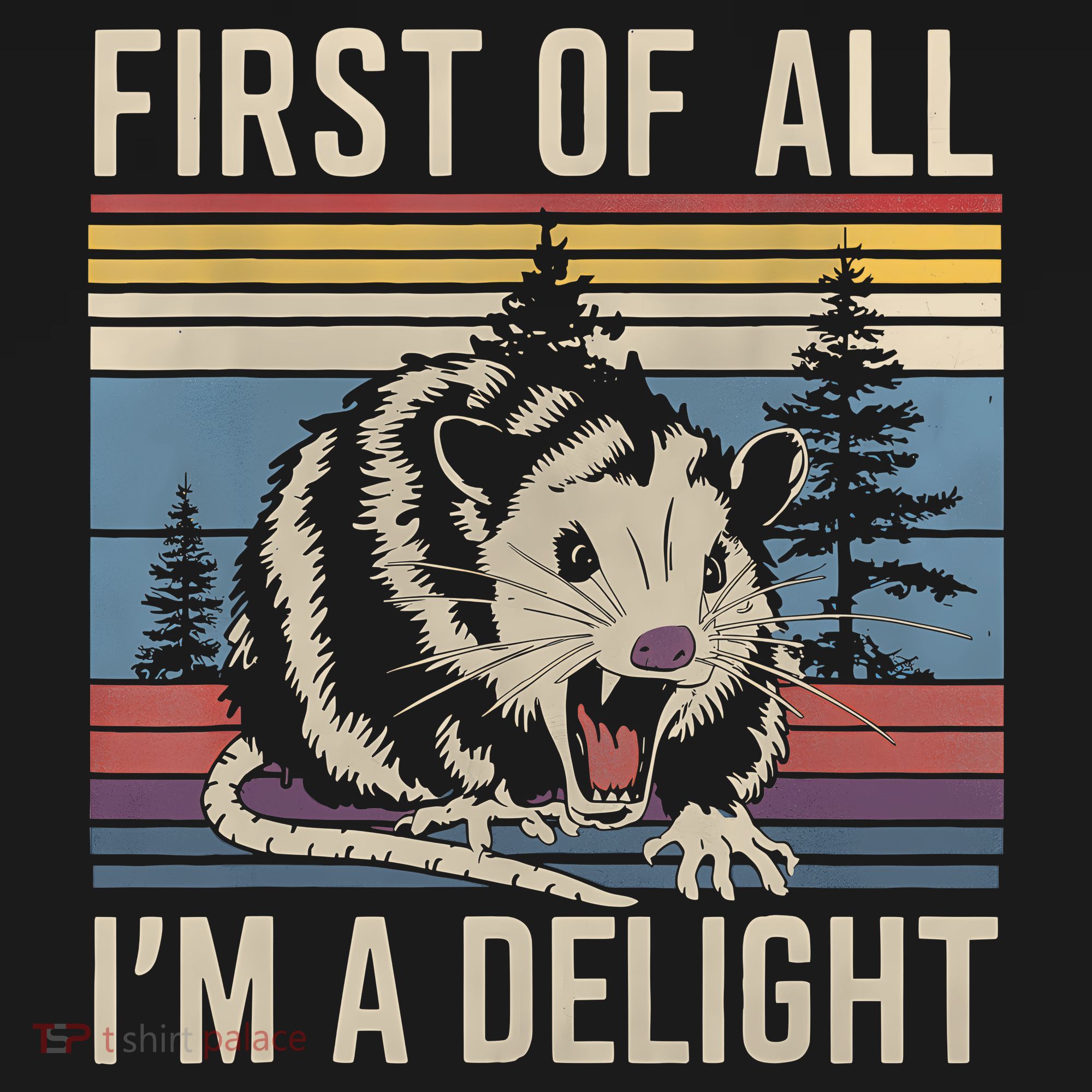 First Of All I’M A Delight Sarcastic Angry Opossum Possum T-Shirt