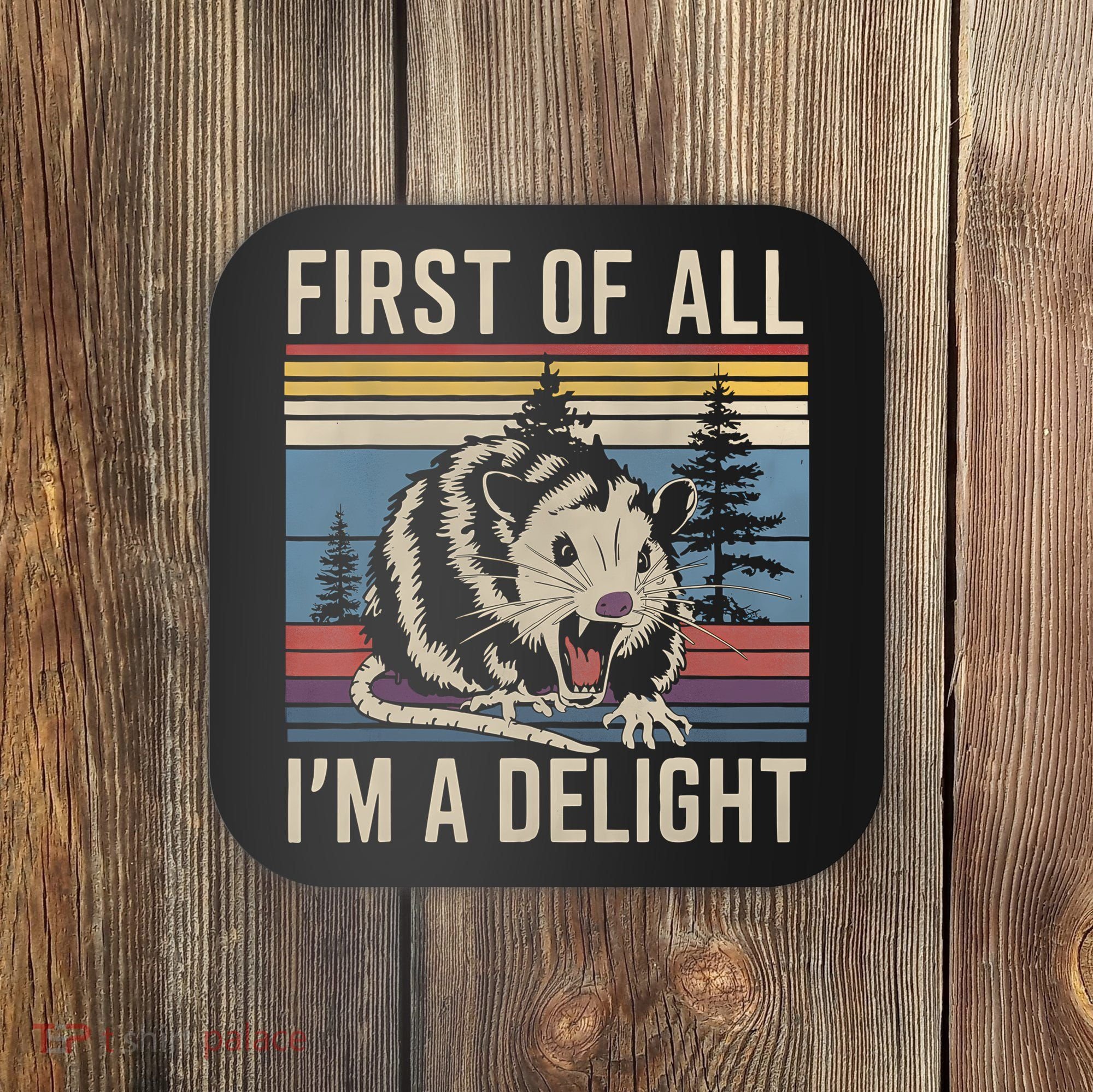 First Of All I’M A Delight Sarcastic Angry Opossum Possum Coaster