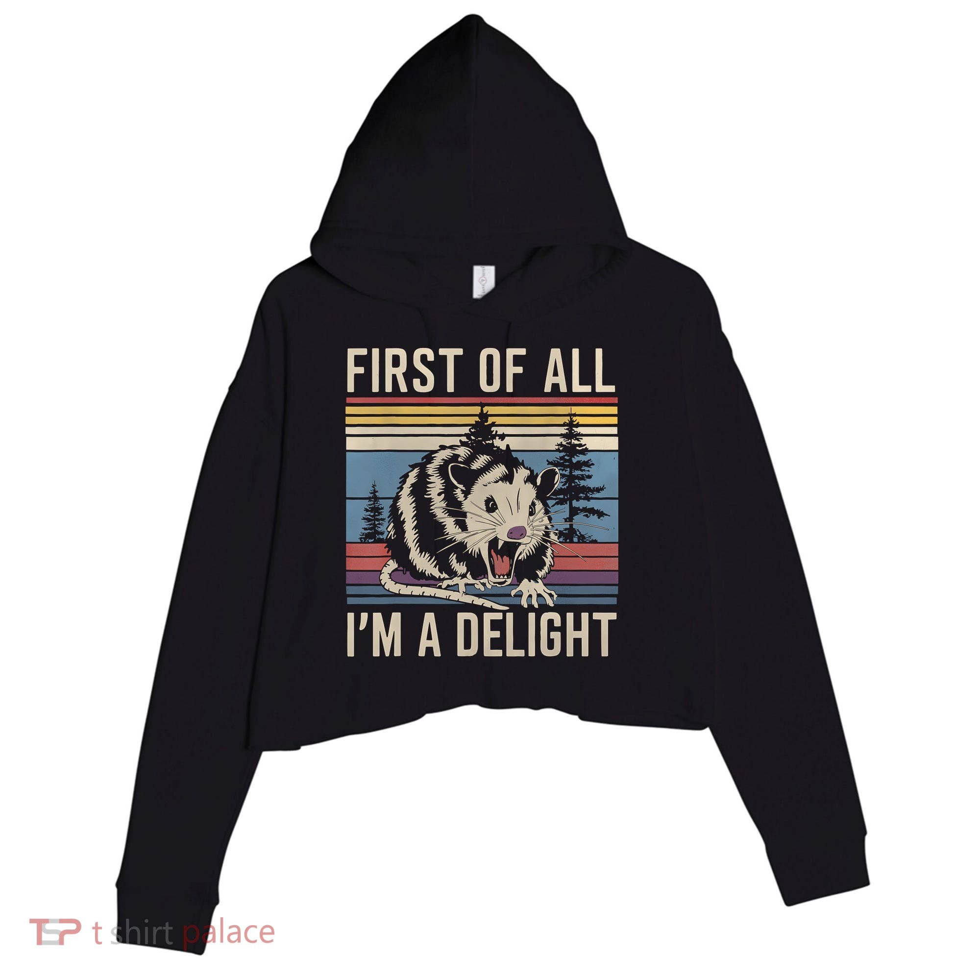 First Of All I’M A Delight Sarcastic Angry Opossum Possum Crop Fleece Hoodie