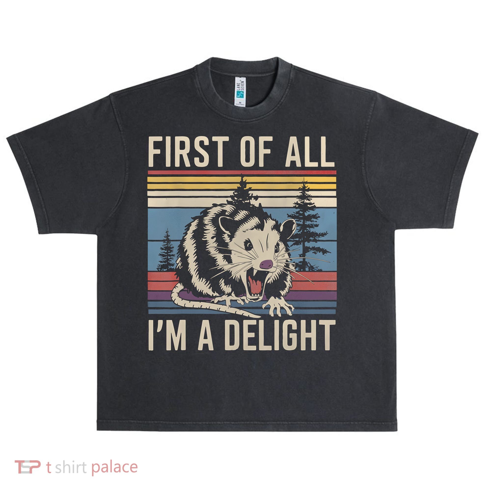 First Of All I’M A Delight Sarcastic Angry Opossum Possum Urban Oversized Heavyweight T-Shirt