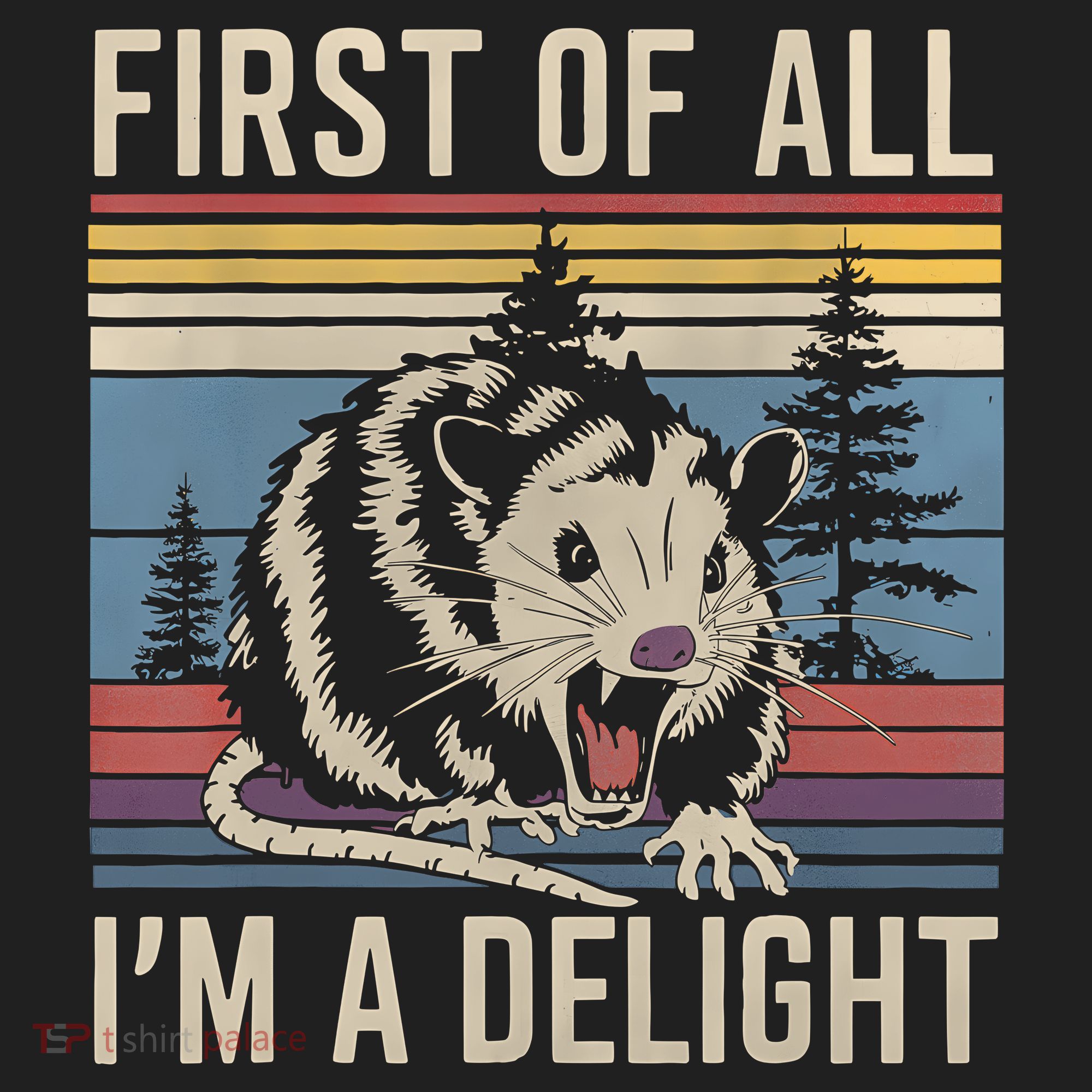 First Of All I’M A Delight Sarcastic Angry Opossum Possum Urban Oversized Heavyweight T-Shirt