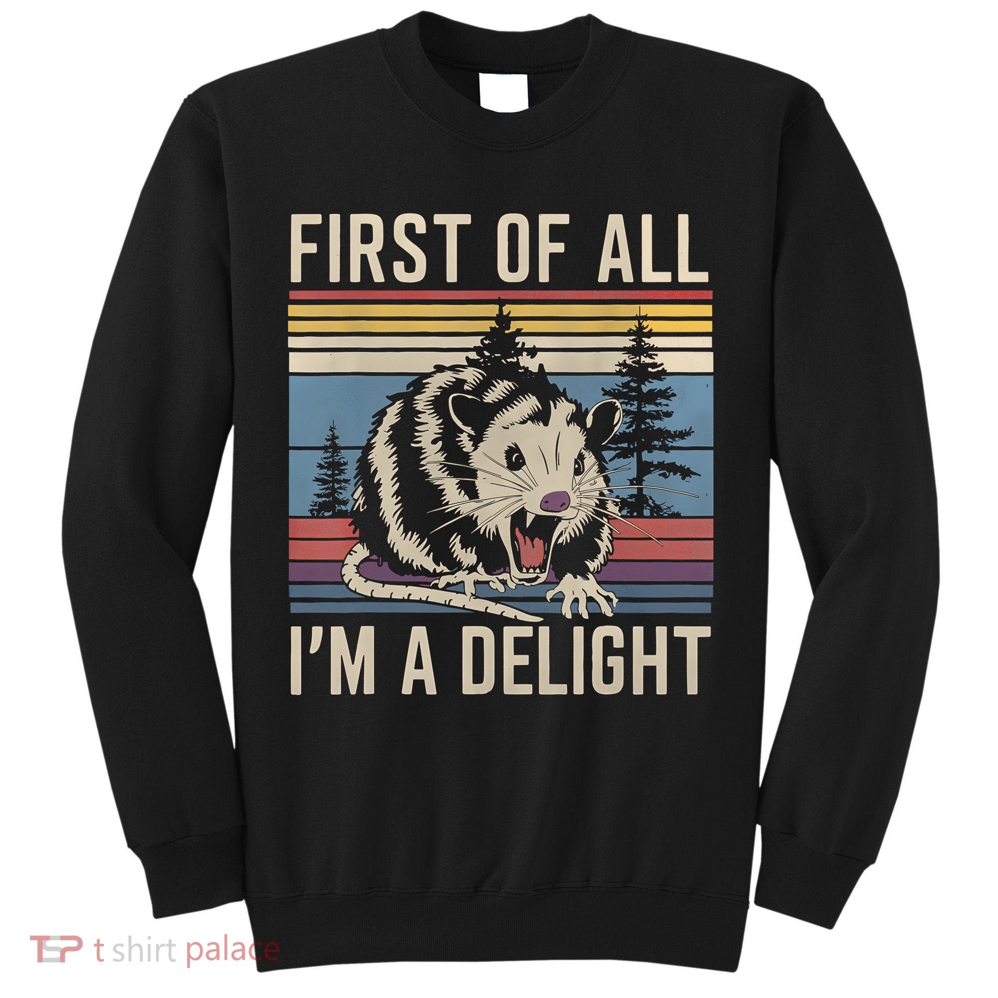 First Of All I’M A Delight Sarcastic Angry Opossum Possum Tall Sweatshirt