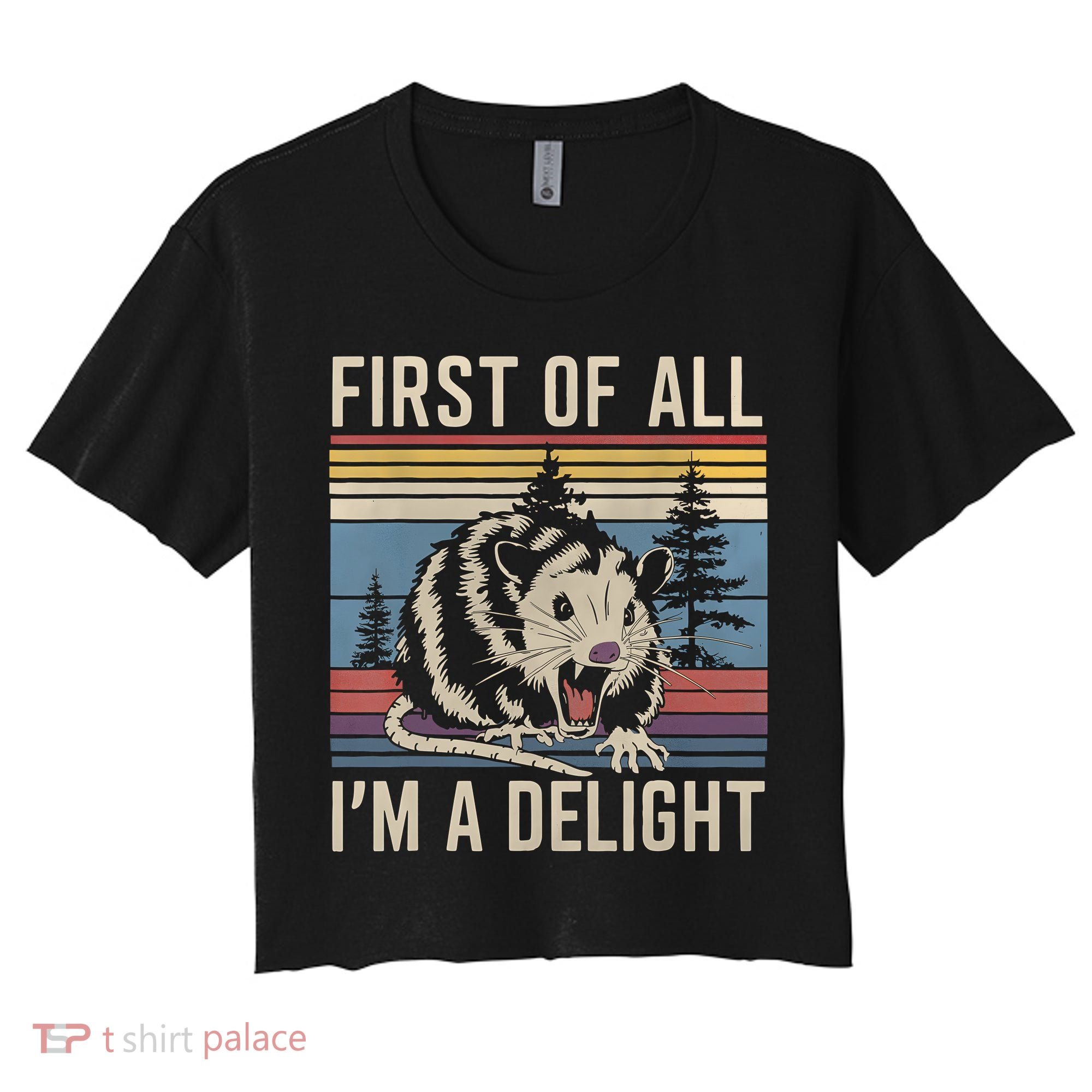 First Of All I’M A Delight Sarcastic Angry Opossum Possum Women's Crop Top Tee