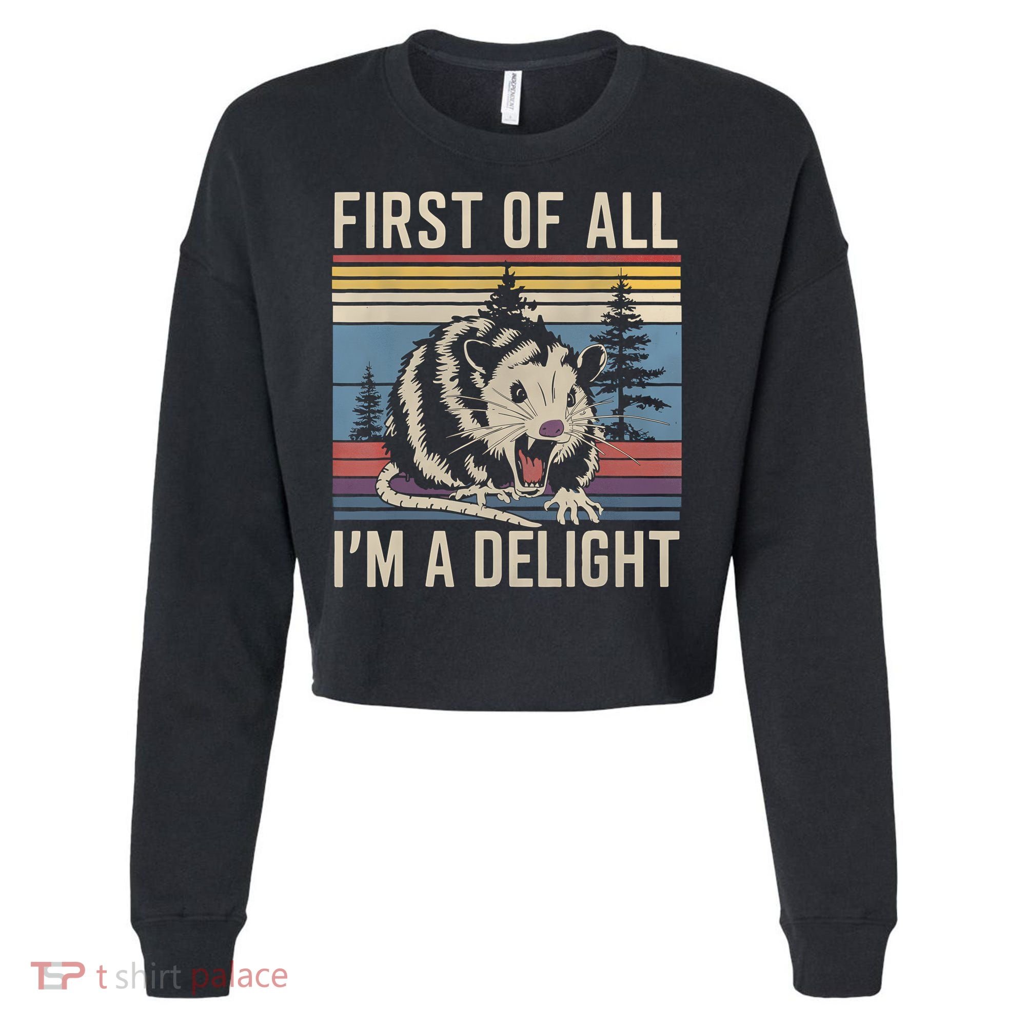 First Of All I’M A Delight Sarcastic Angry Opossum Possum Cropped Pullover Crew