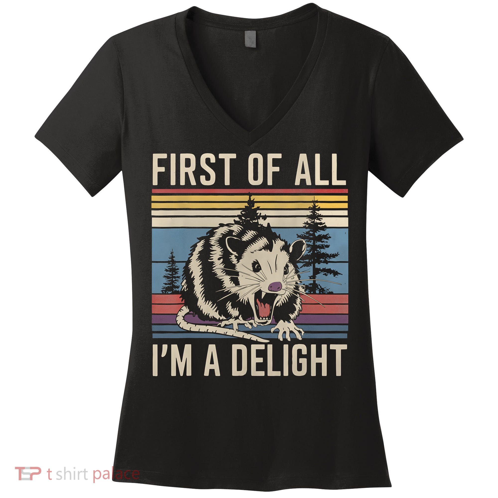 First Of All I’M A Delight Sarcastic Angry Opossum Possum Women's V-Neck T-Shirt