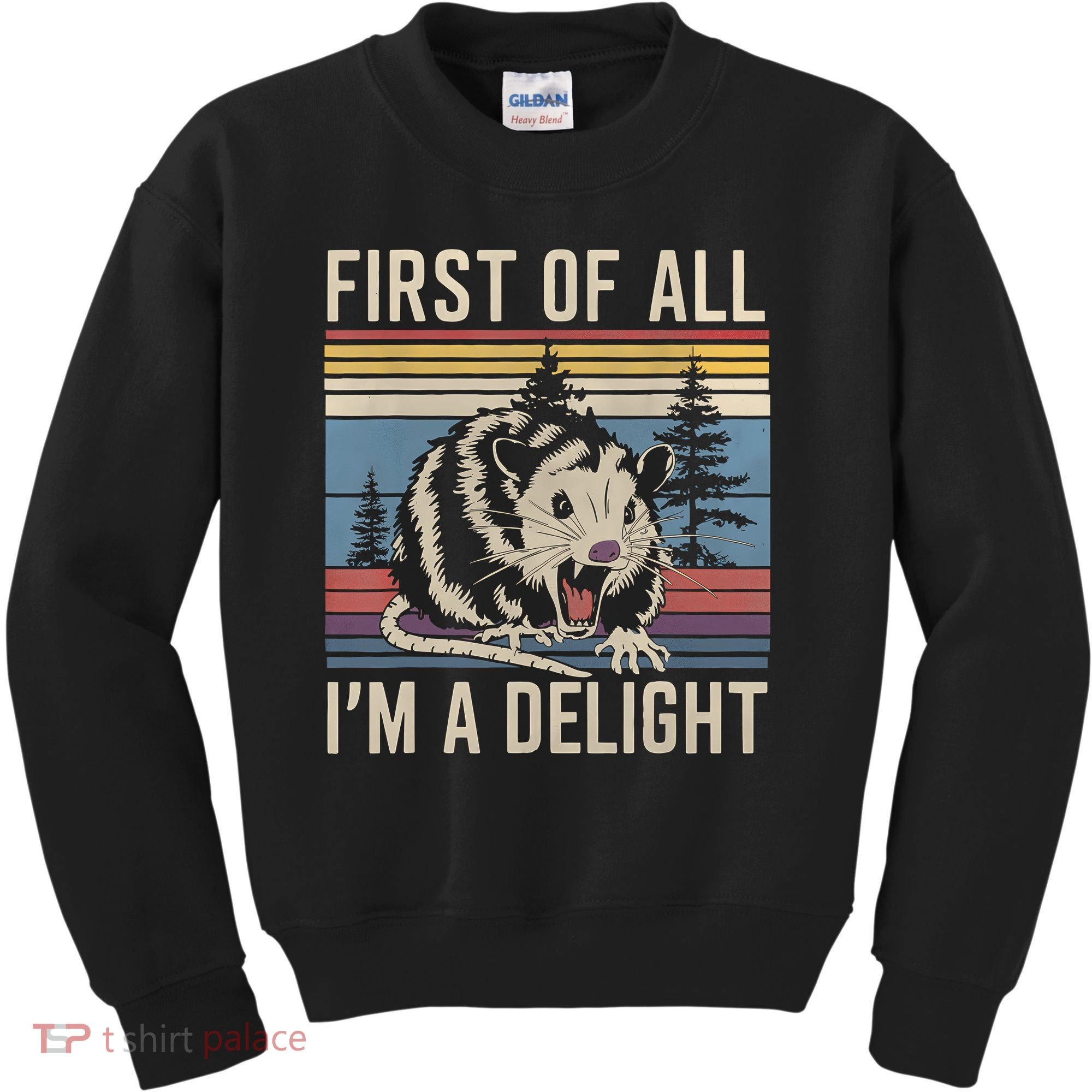 First Of All I’M A Delight Sarcastic Angry Opossum Possum Kids Sweatshirt