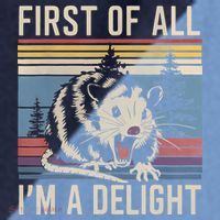 First Of All I’M A Delight Sarcastic Angry Opossum Possum Raglan Baseball Sleeve Shirt thumb 2