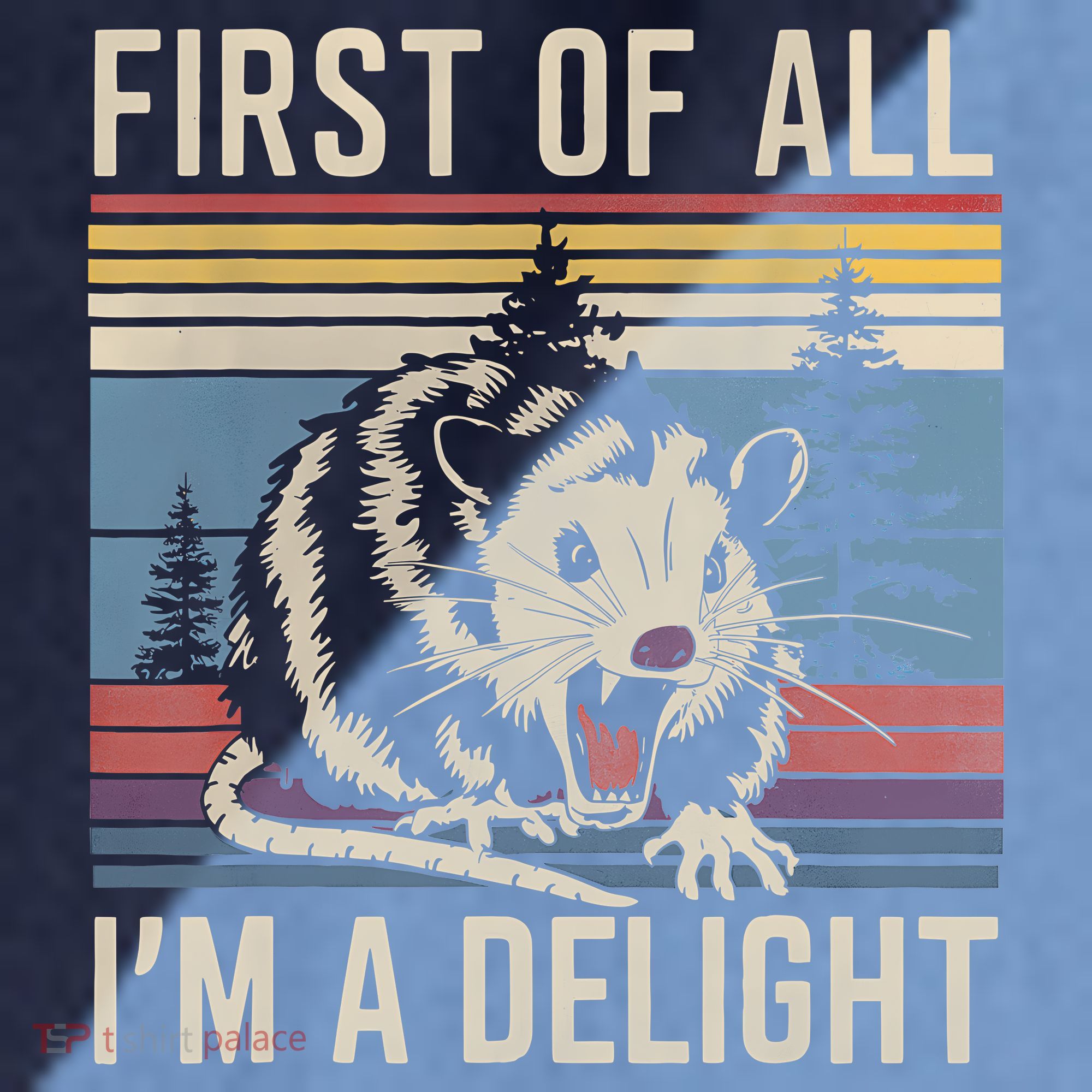 First Of All I’M A Delight Sarcastic Angry Opossum Possum Raglan Baseball Sleeve Shirt