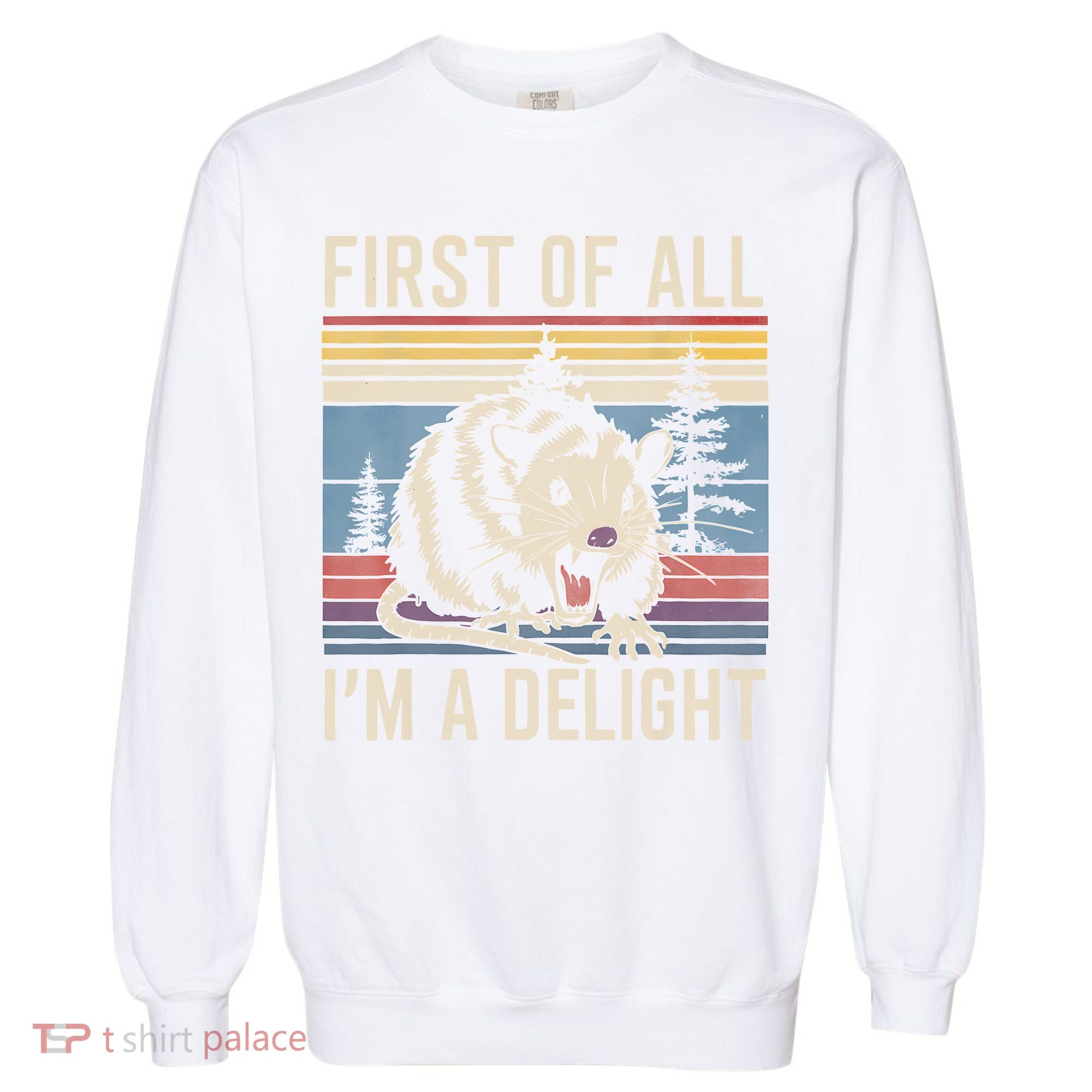 First Of All I’M A Delight Sarcastic Angry Opossum Possum Garment-Dyed Sweatshirt