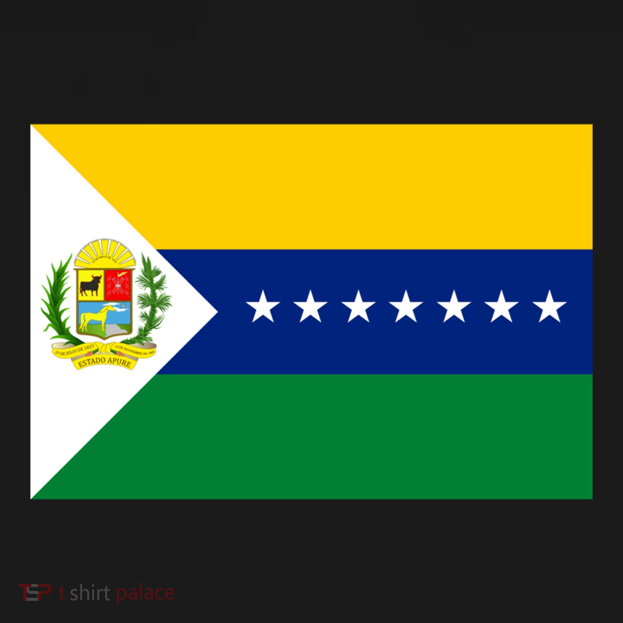 Flag Of Apure State Of Venezuela Gift Women's Hoodie