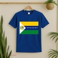 Flag Of Apure State Of Venezuela Gift T-Shirt thumb 2