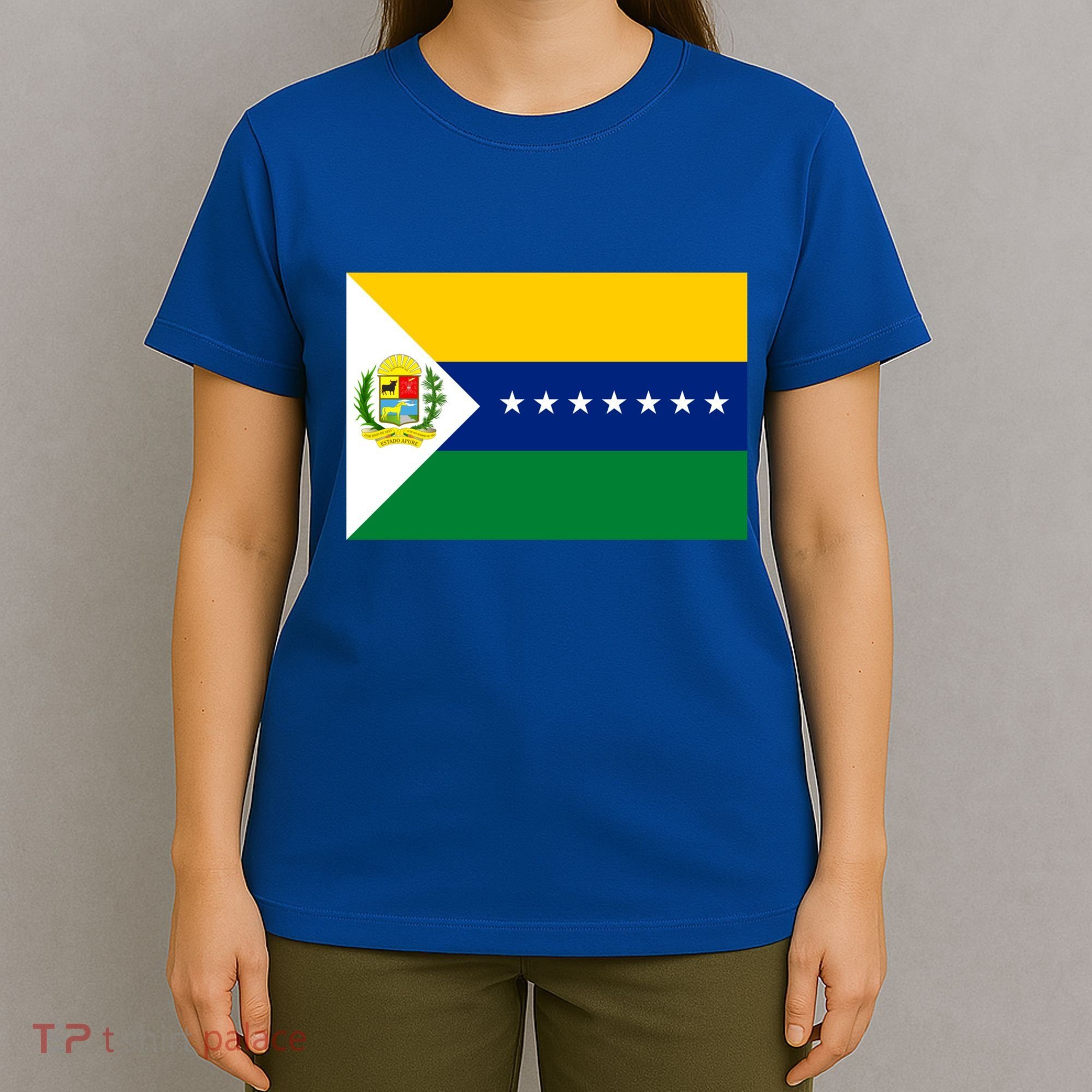 Flag Of Apure State Of Venezuela Gift T-Shirt