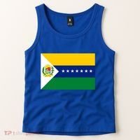 Flag Of Apure State Of Venezuela Gift Tank Top thumb 2