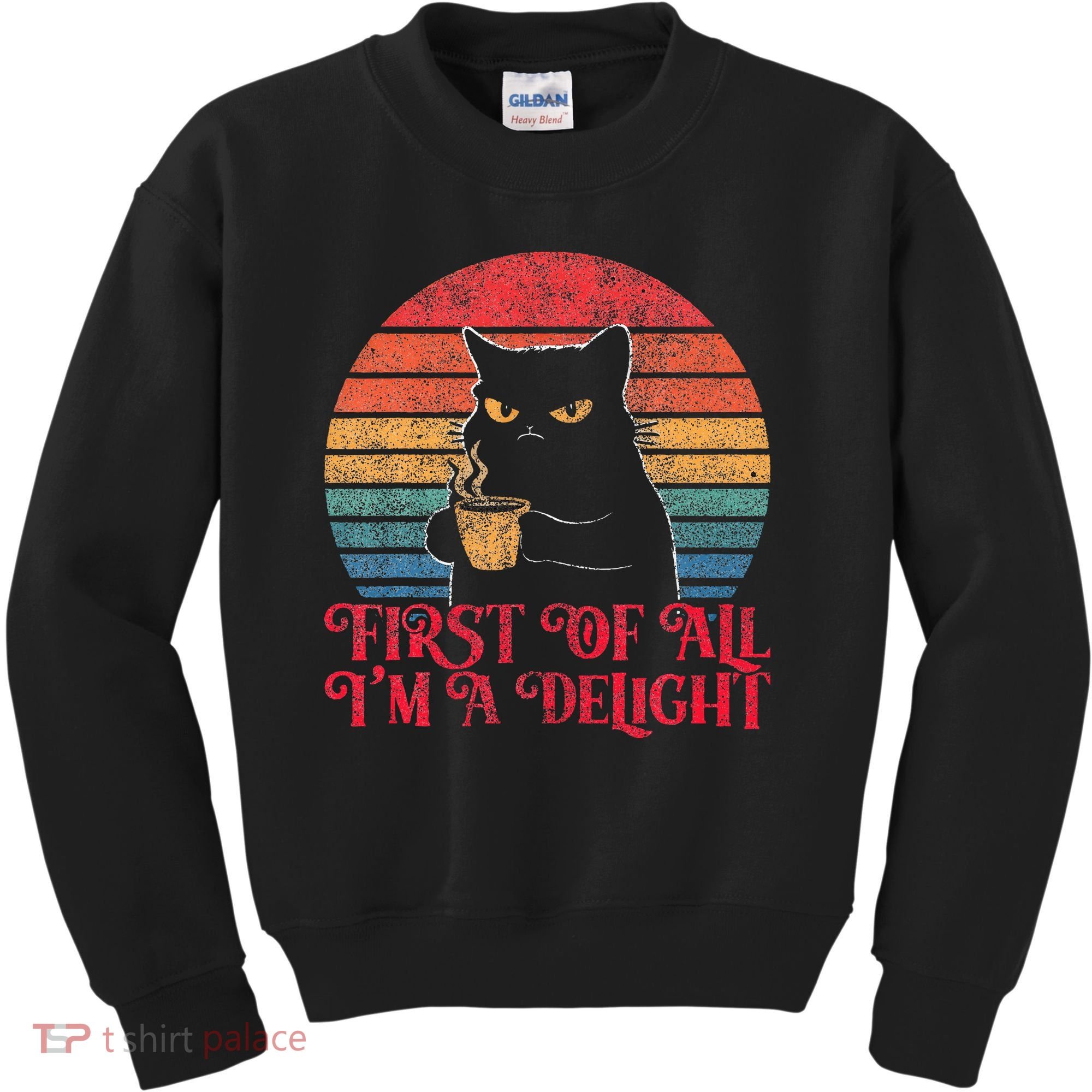 First Of All IM A Delight Sarcastic Angry Cat Kids Sweatshirt