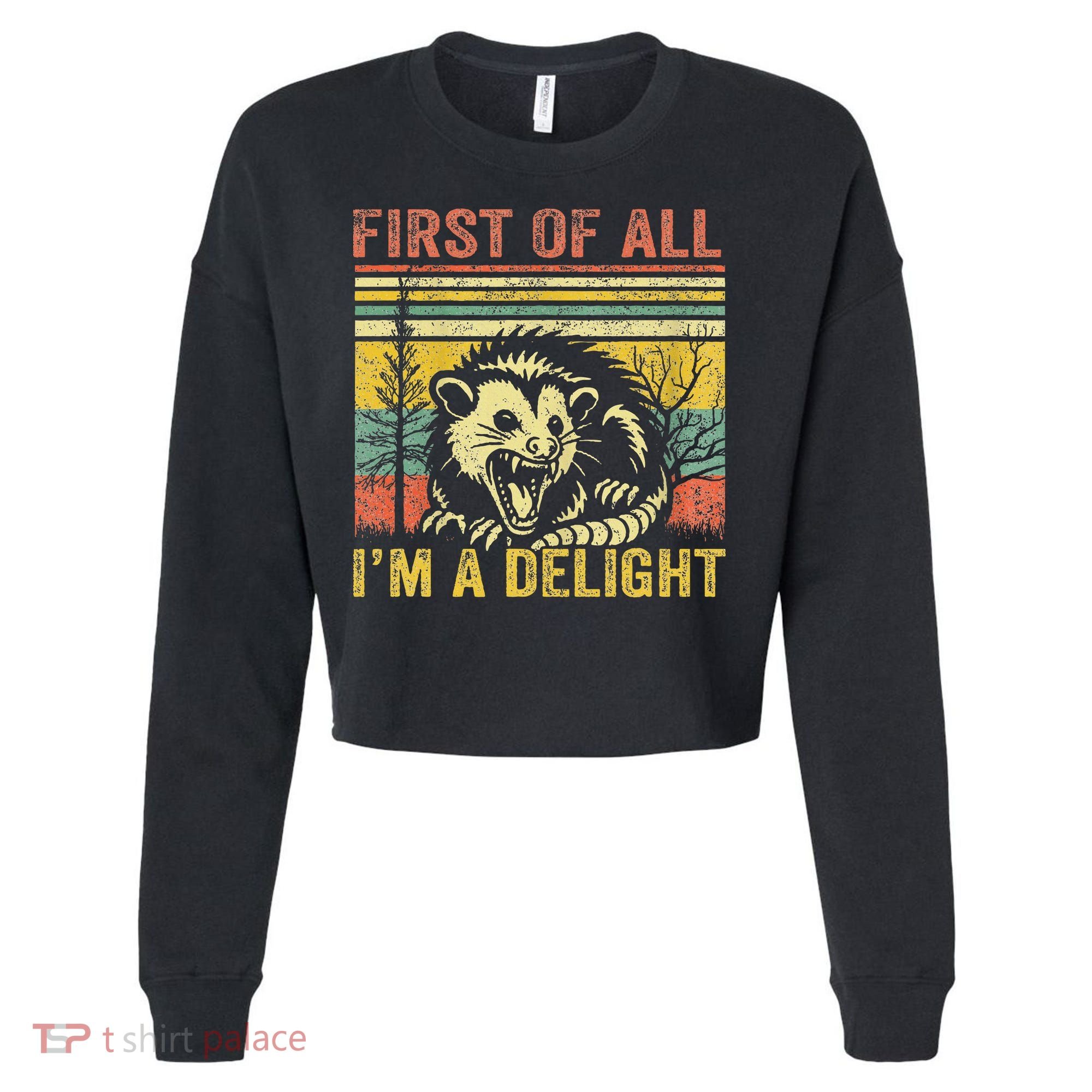 First Of All IM A Delight Cropped Pullover Crew