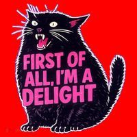 First Of All I'm A Delight Roaring Black Cat Santa Hat thumb 1