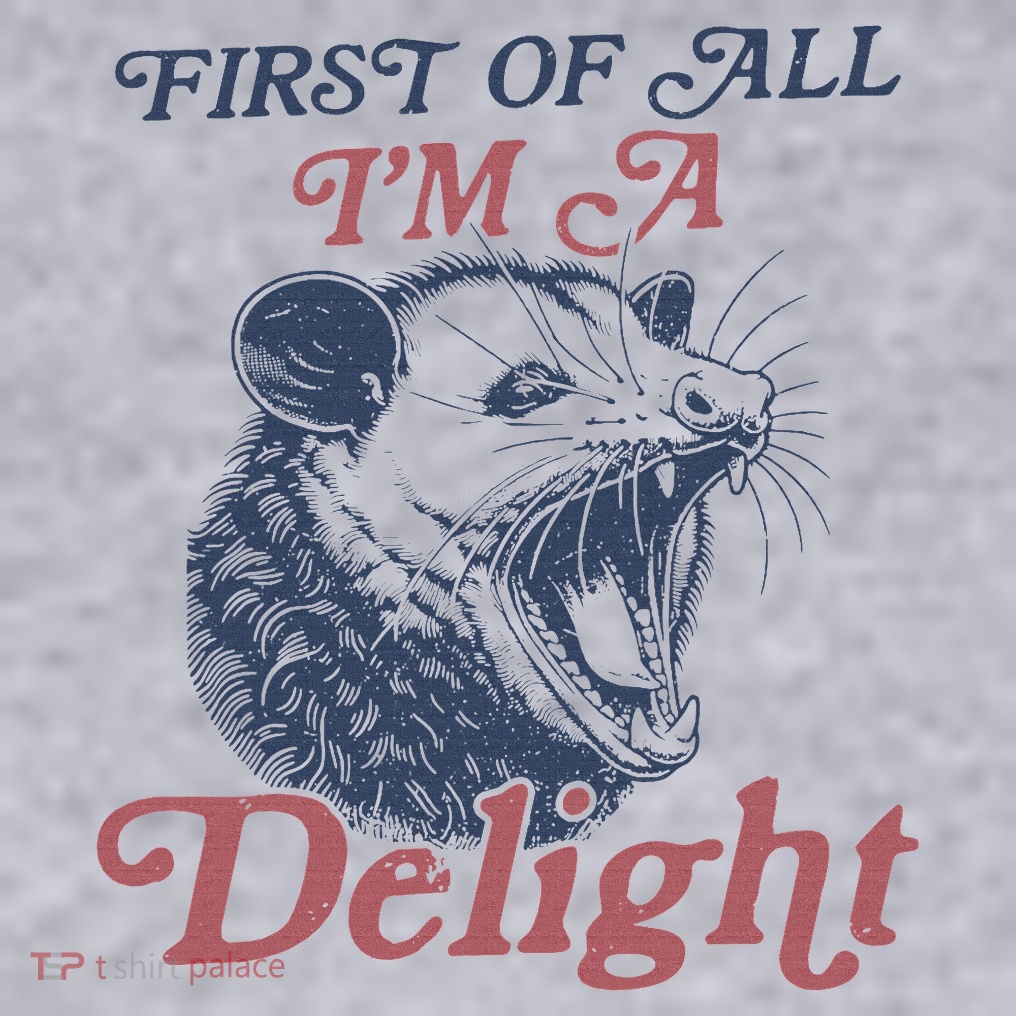 First Of All I'm A Delight Sarcastic Angry Opossum Possum Women's Sweatshirt