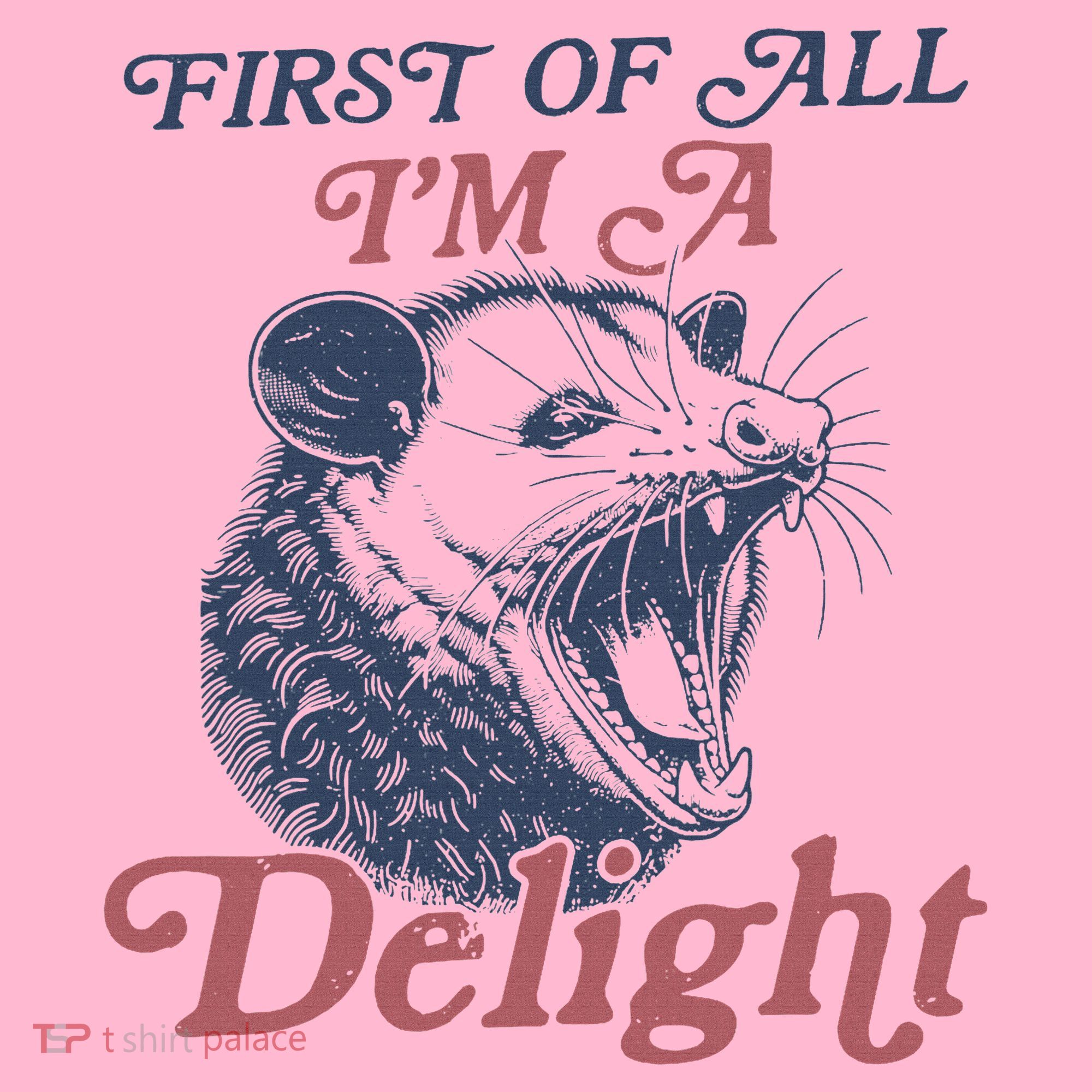First Of All I'm A Delight Sarcastic Angry Opossum Possum Coaster