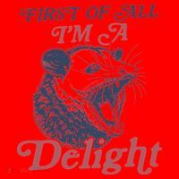 First Of All I'm A Delight Sarcastic Angry Opossum Possum Santa Hat thumb 1