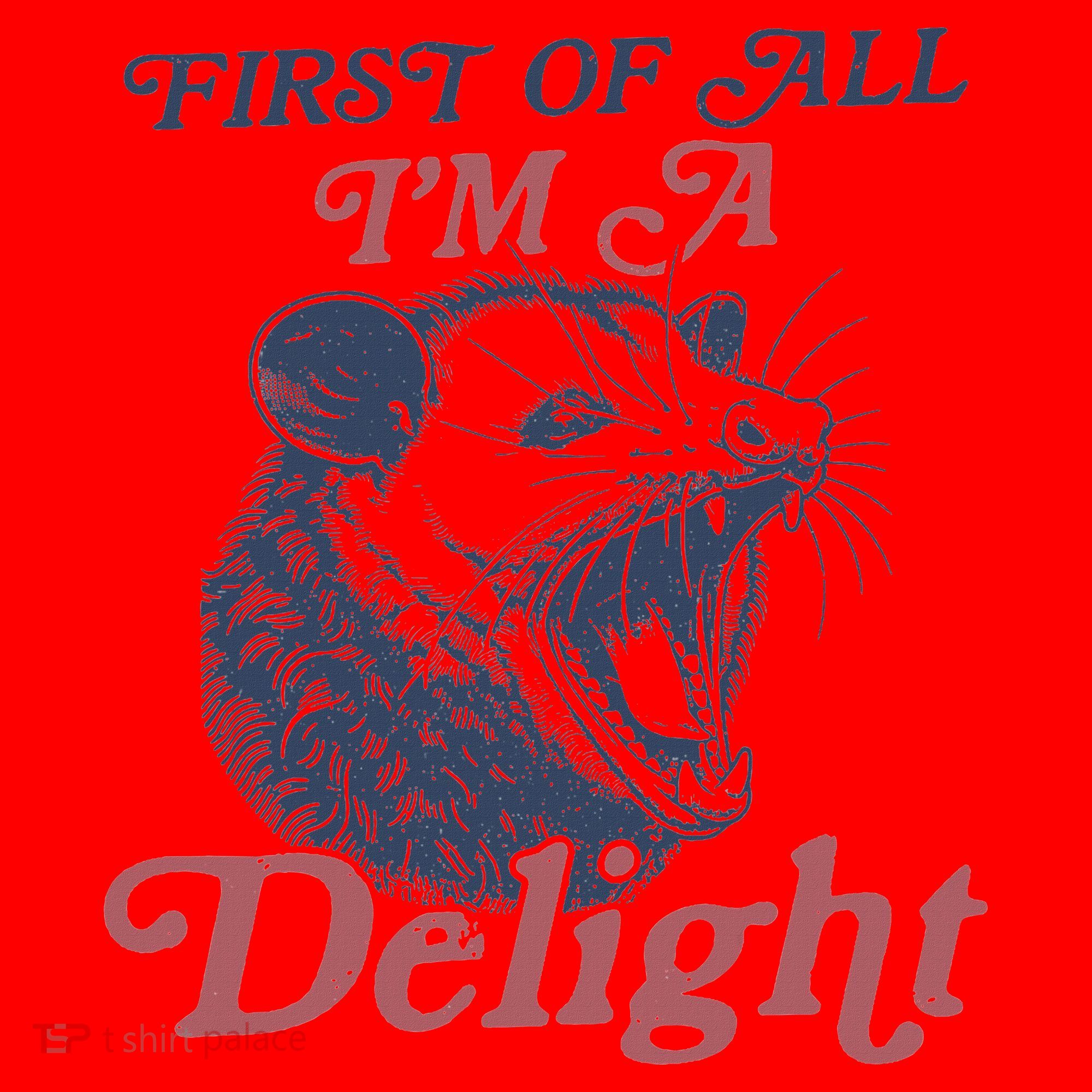 First Of All I'm A Delight Sarcastic Angry Opossum Possum Santa Hat
