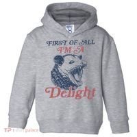 First Of All I'm A Delight Sarcastic Angry Opossum Possum Toddler Hoodie thumb 0