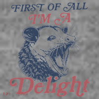 First Of All I'm A Delight Sarcastic Angry Opossum Possum Toddler Hoodie thumb 2
