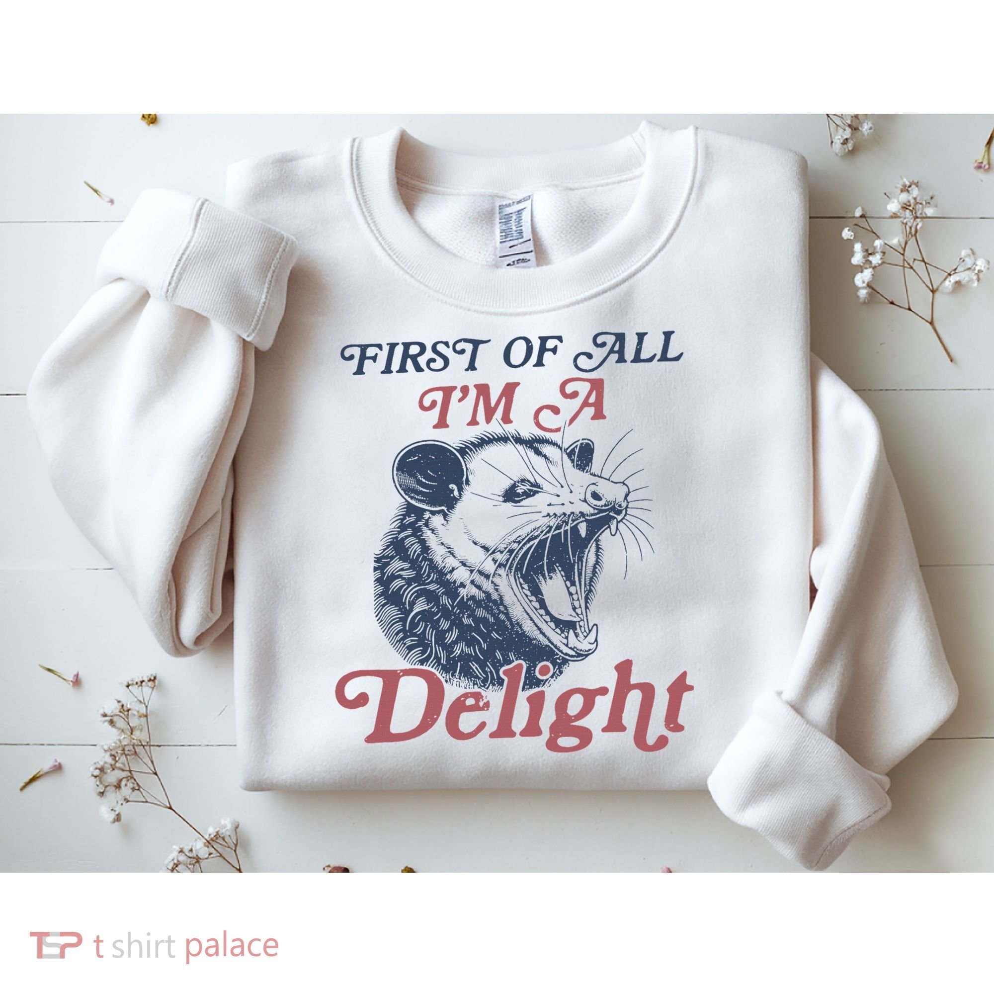 First Of All I'm A Delight Sarcastic Angry Opossum Possum Sweatshirt