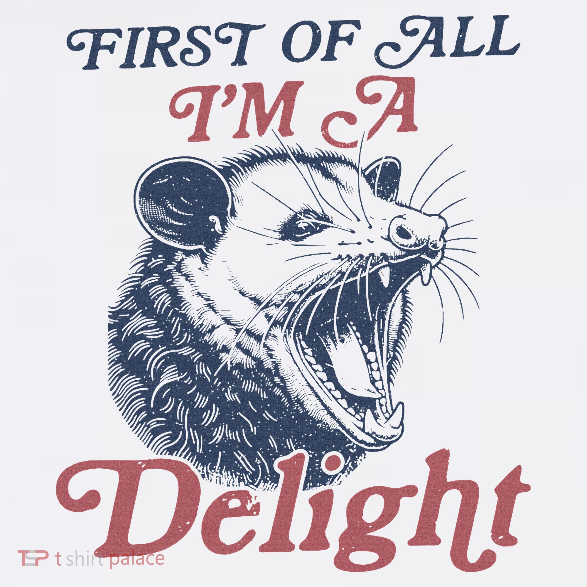 First Of All I'm A Delight Sarcastic Angry Opossum Possum Beanie