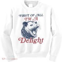 First Of All I'm A Delight Sarcastic Angry Opossum Possum Kids Sweatshirt thumb 0