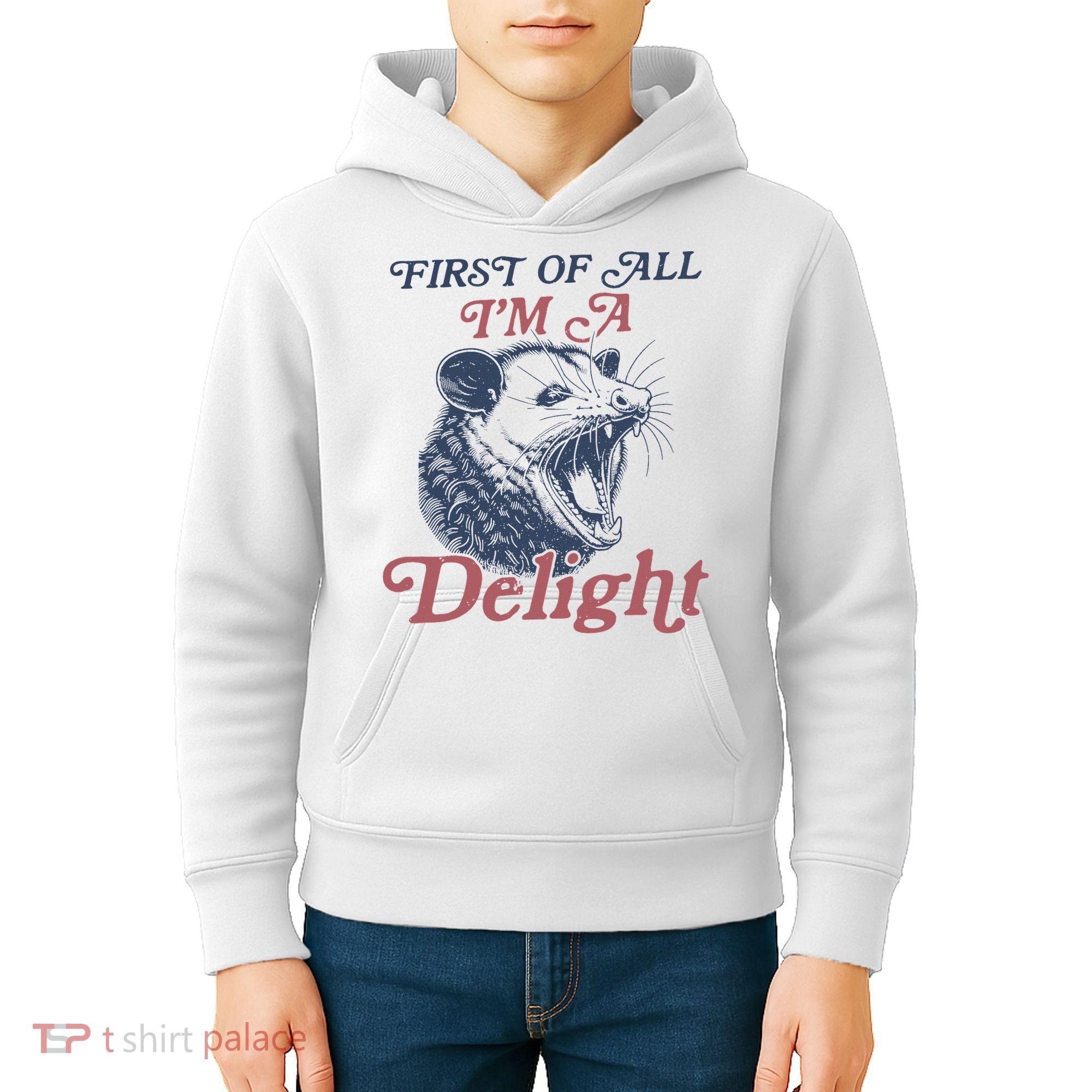 First Of All I'm A Delight Sarcastic Angry Opossum Possum Kids Hoodie