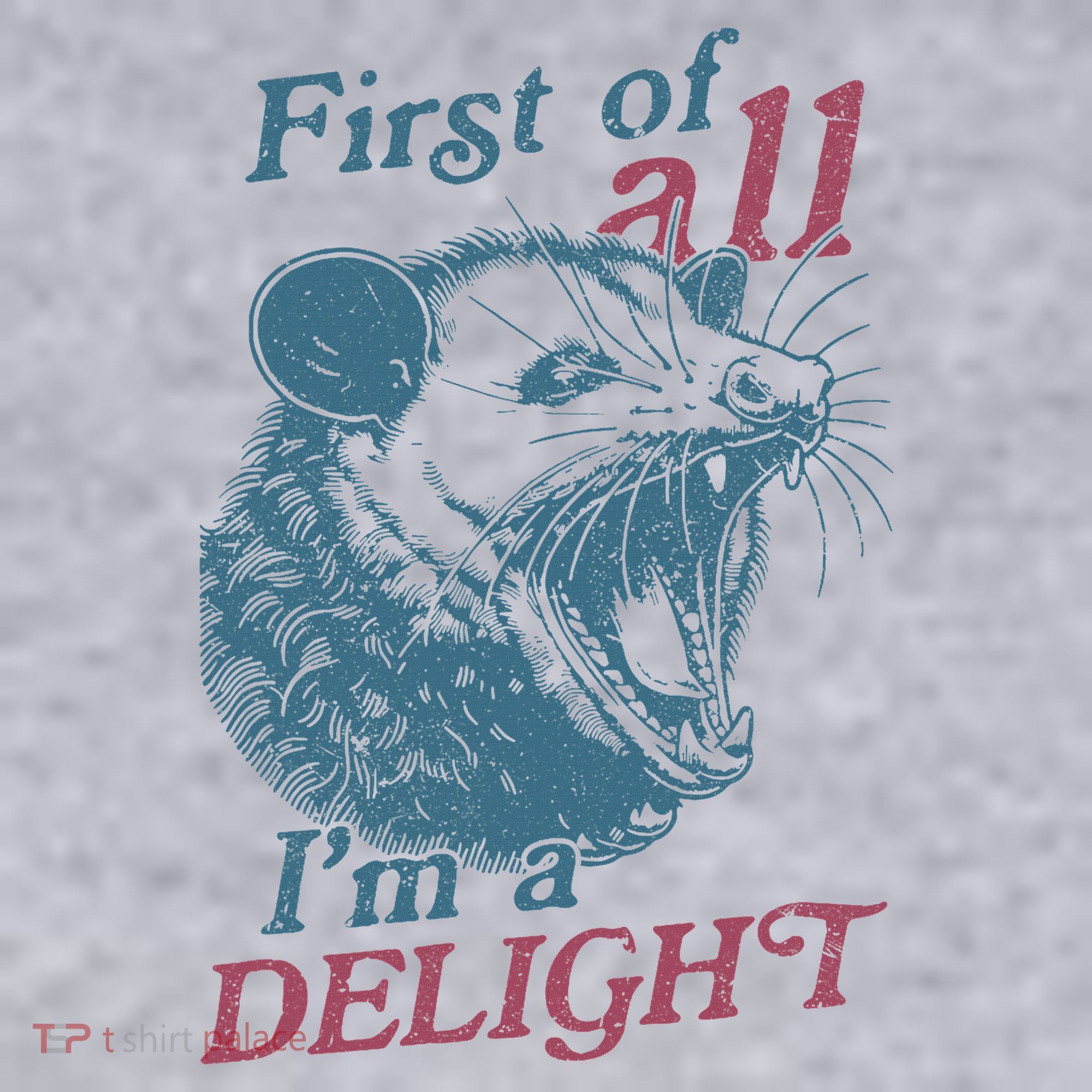 First Of All I'm A Delight Sarcastic Angry Opossum Lover Women's Sweatshirt