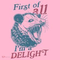 First Of All I'm A Delight Sarcastic Angry Opossum Lover Coaster thumb 2