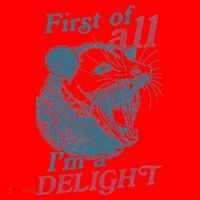 First Of All I'm A Delight Sarcastic Angry Opossum Lover Santa Hat thumb 1