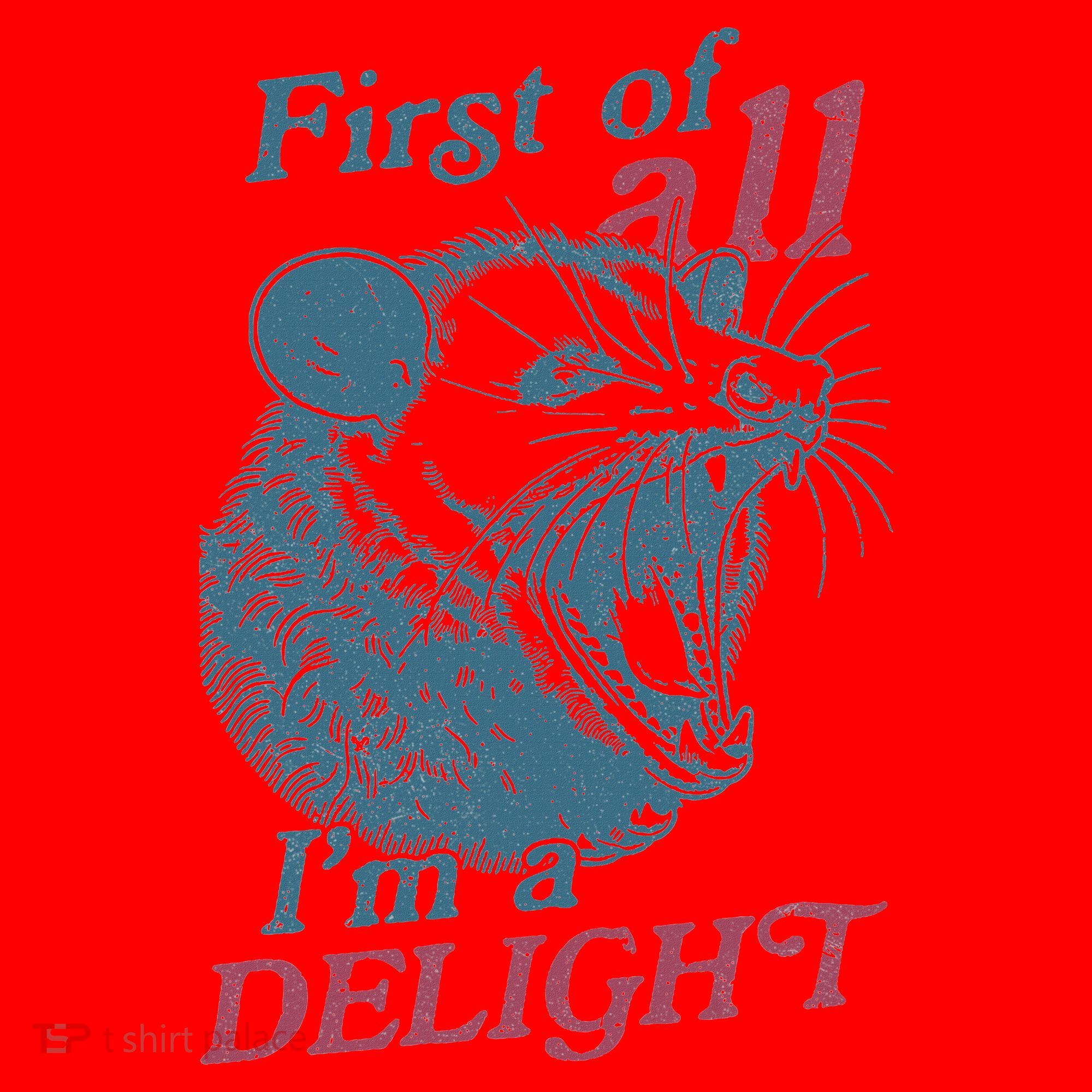 First Of All I'm A Delight Sarcastic Angry Opossum Lover Santa Hat