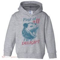 First Of All I'm A Delight Sarcastic Angry Opossum Lover Toddler Hoodie thumb 0