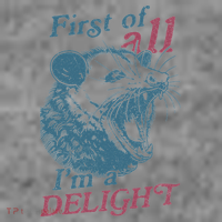 First Of All I'm A Delight Sarcastic Angry Opossum Lover Toddler Hoodie thumb 2