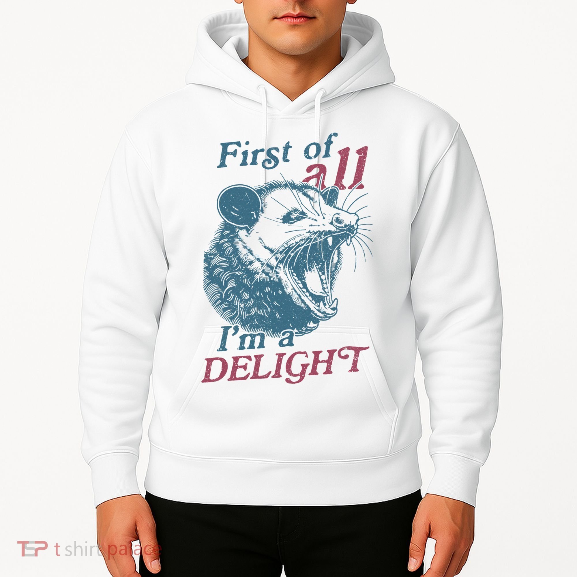 First Of All I'm A Delight Sarcastic Angry Opossum Lover Hoodie