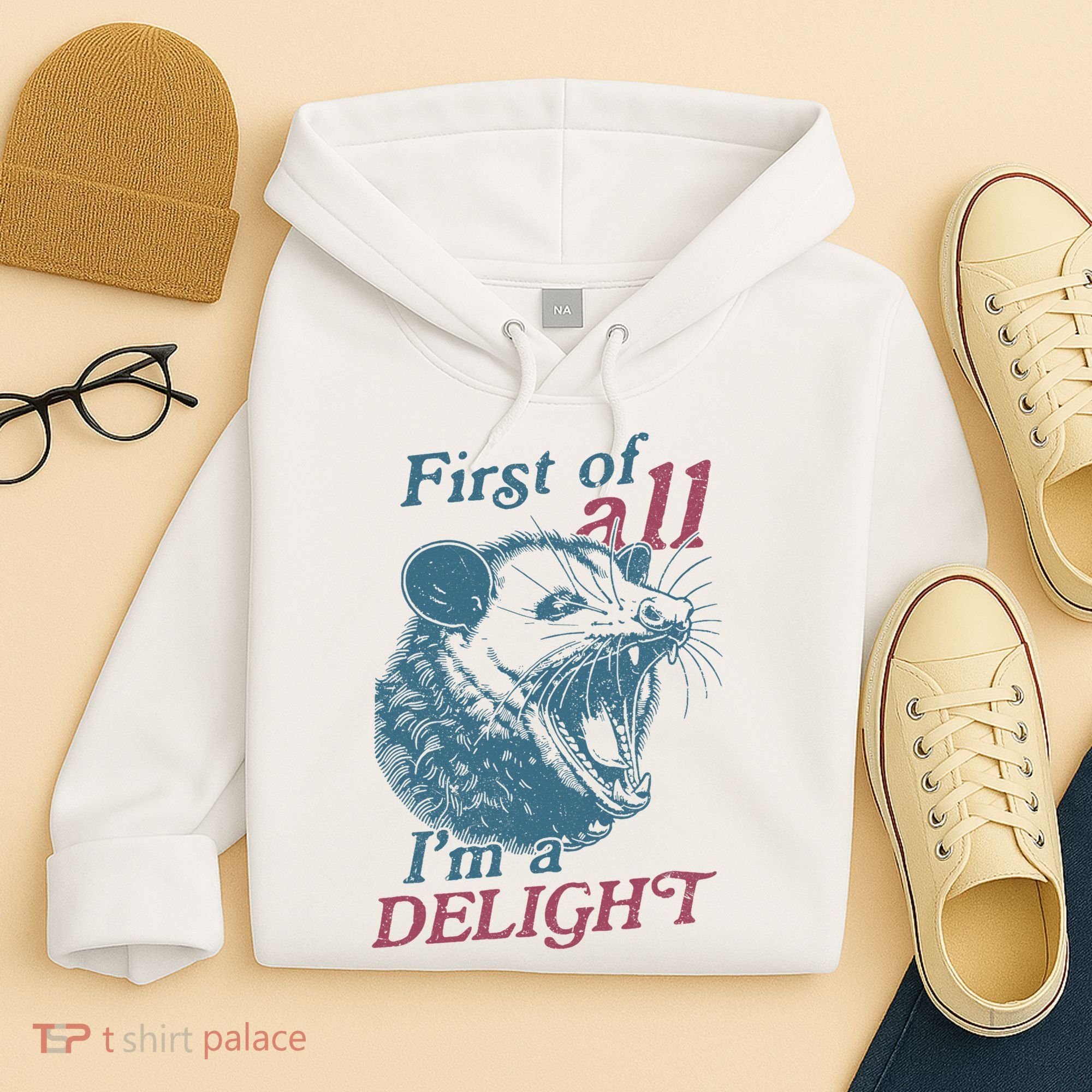 First Of All I'm A Delight Sarcastic Angry Opossum Lover Hoodie