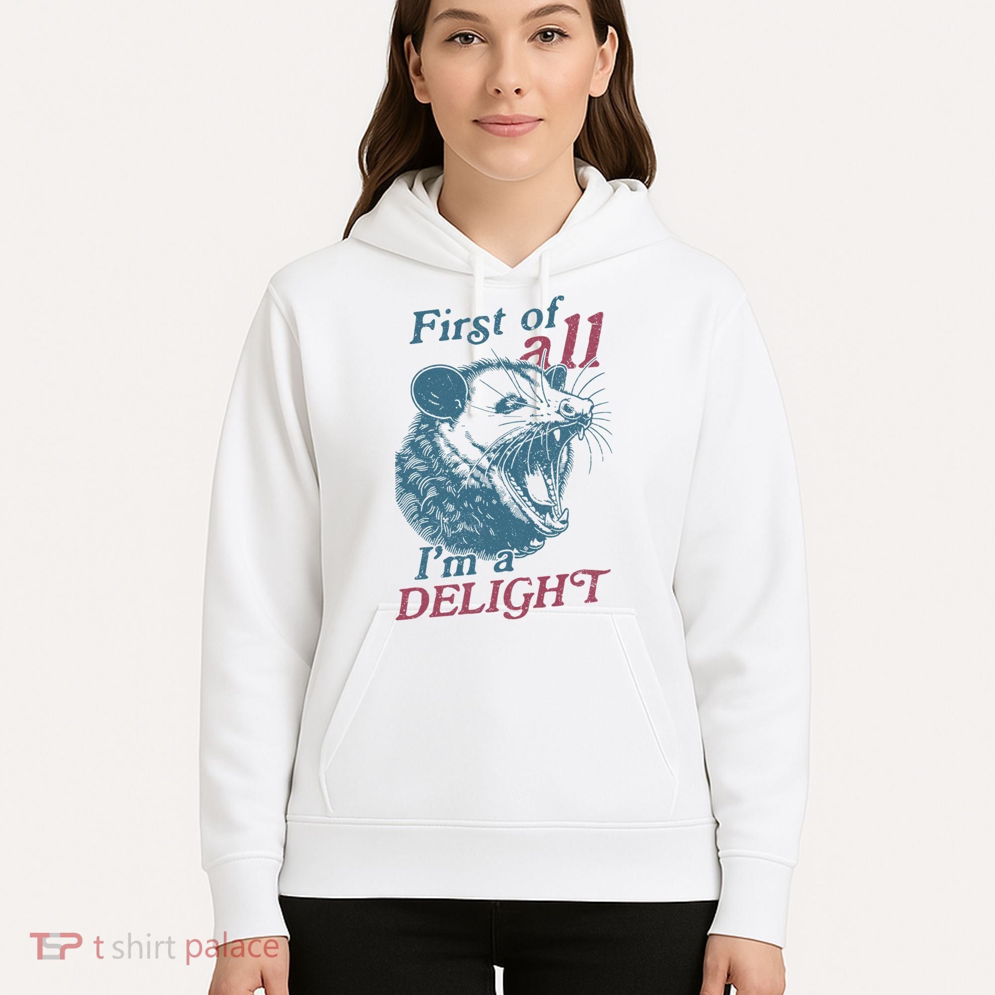 First Of All I'm A Delight Sarcastic Angry Opossum Lover Hoodie