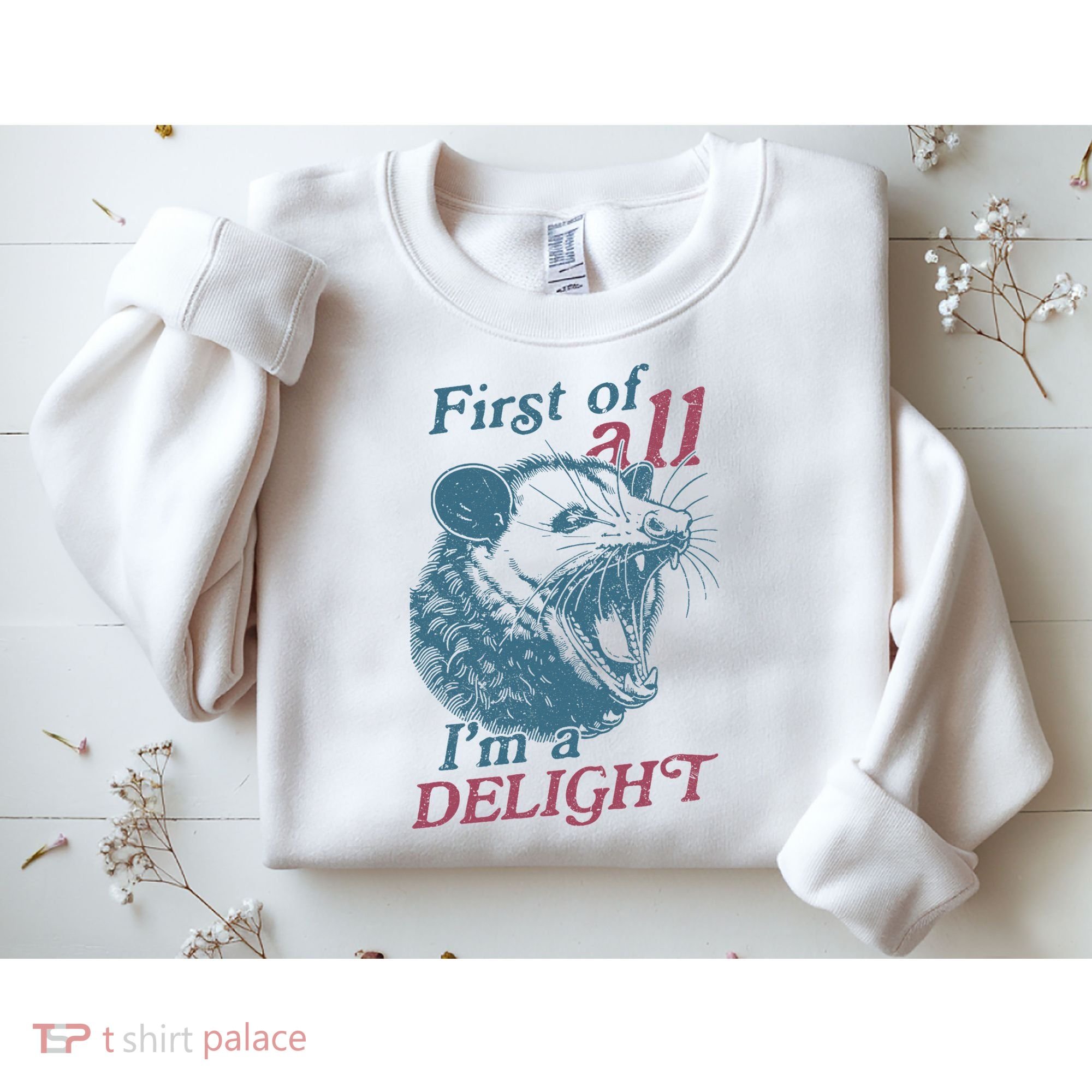 First Of All I'm A Delight Sarcastic Angry Opossum Lover Sweatshirt