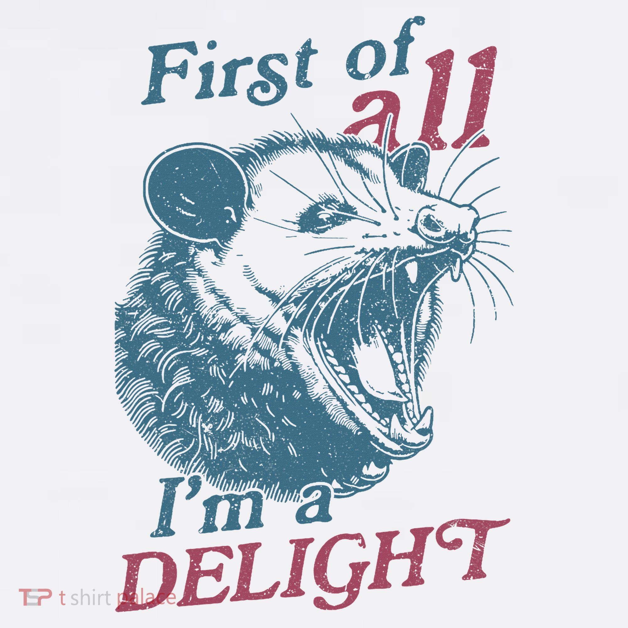 First Of All I'm A Delight Sarcastic Angry Opossum Lover T-Shirt