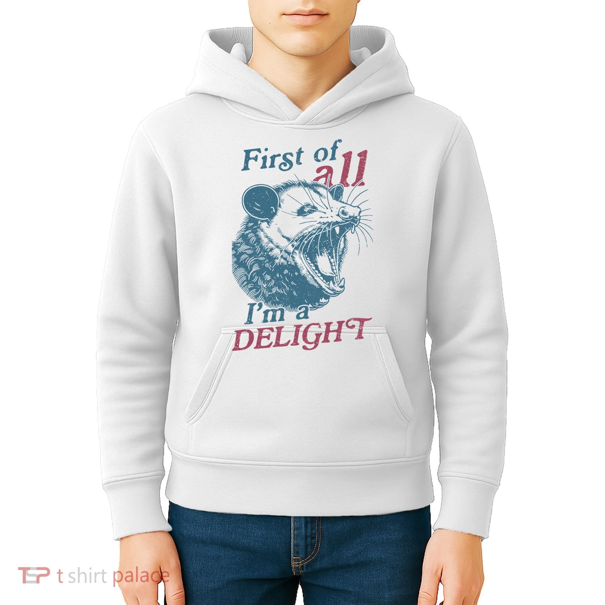 First Of All I'm A Delight Sarcastic Angry Opossum Lover Kids Hoodie