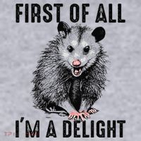 First Of All IM A Delight Opossum Lover Matching Women's Sweatshirt thumb 2